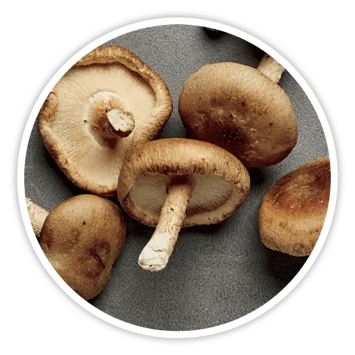 cholibrium™-ingredients-4