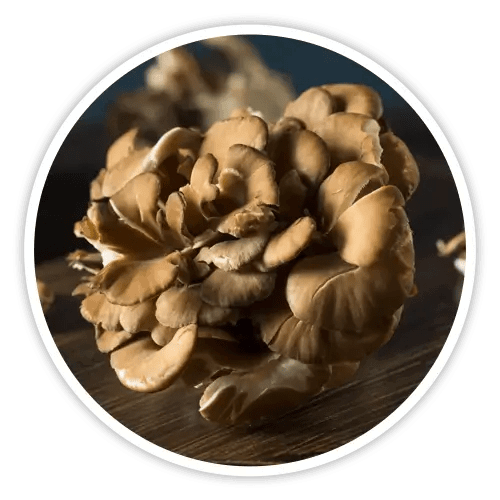 cholibrium™-ingredients-5