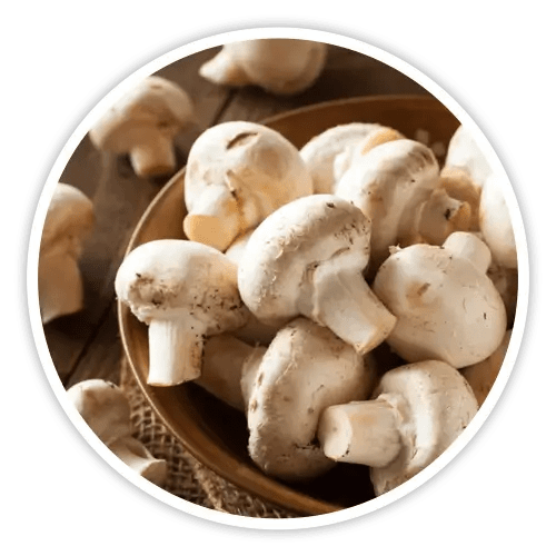 cholibrium™-ingredients-8