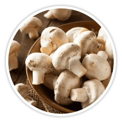 White Button mushroom ingredient in Cholibrium